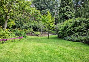 Optimiser l'expérience du jardin à Estoublon